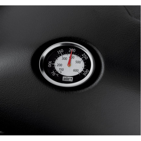 Газовий гриль Weber Q 12003