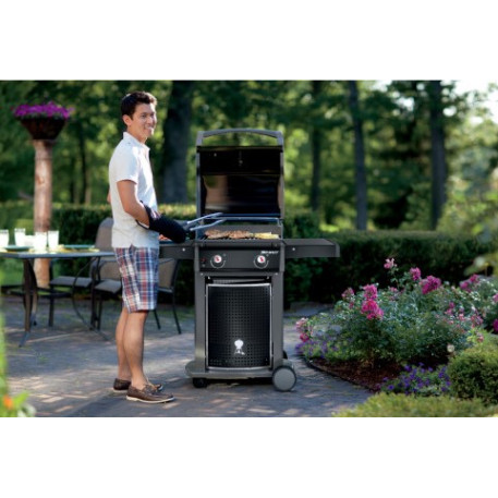 Газовий гриль Weber Spirit E 210 чорний3