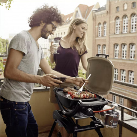 Газовий гриль Weber Q 10004