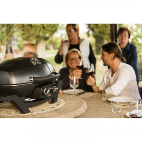 Портативний газовий гриль Napoleon TravelQ PRO2853
