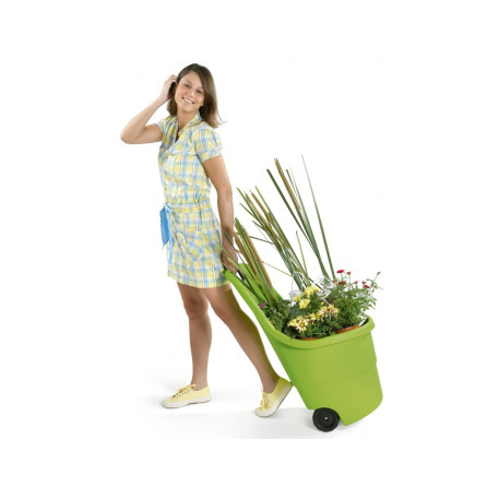 Садова тачка KETER EASY GO 55л салатовий1
