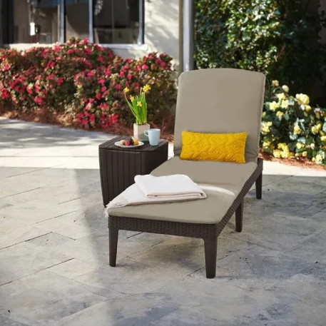 Шезлонг пластиковий Jaipur Sun lounger з матрацом Коричневий5